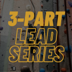 Lead Series
